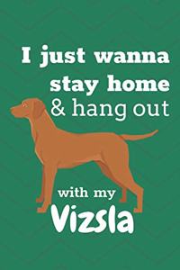 I just wanna stay home & hang out with my Vizsla