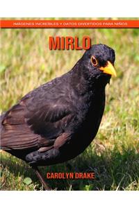 Mirlo