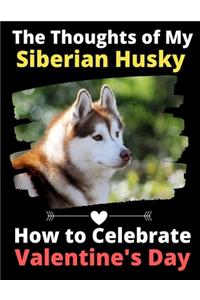 The Thoughts of My Siberian Husky