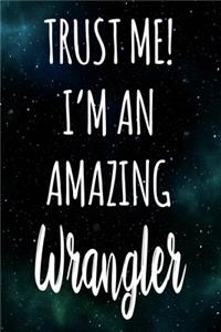 Trust Me! I'm An Amazing Wrangler