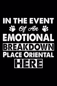 In The Event Emotional Breakdown Place Oriental Here