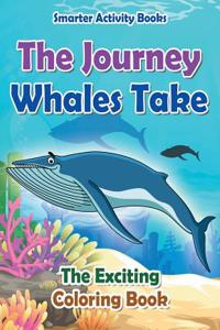 Journey Whales Take