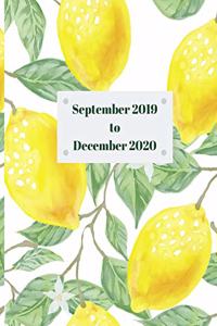 September 2019 to December 2020