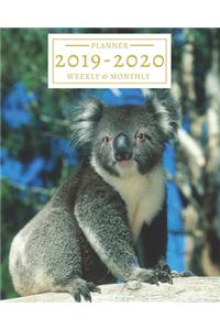 2019-2020: 16-Month Weekly and Monthly Planner/Calendar Sept 2019-Dec 2020 Koala Bear