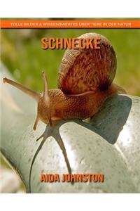 Schnecke