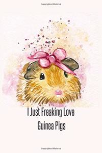 I Just Freaking Love Guinea Pigs