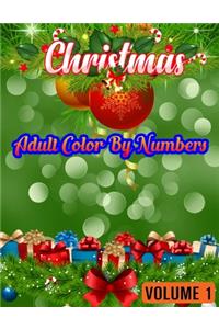 Christmas Adult Color By Numbers (Volume 1)