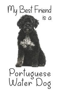 My best Friend is a Portuguese Water Dog