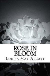 Rose in Bloom