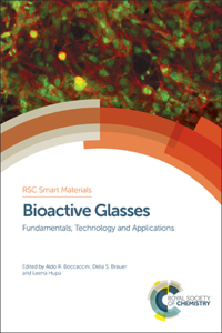 Bioactive Glasses