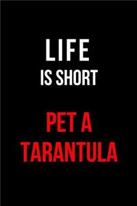 Life Is Short Pet a Tarantula