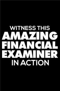 Witness This Amazing Financial Examiner in Action