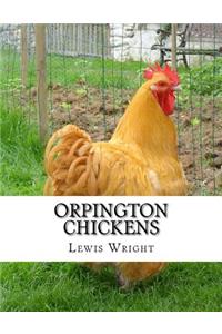 Orpington Chickens