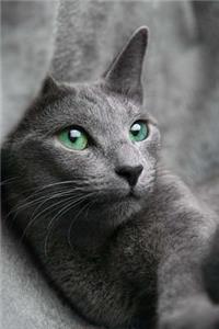 Peaceful Cat Journal