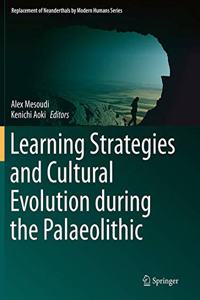 Learning Strategies and Cultural Evolution During the Palaeolithic