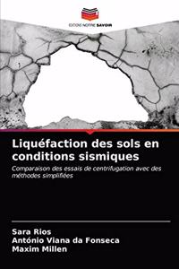Liquéfaction des sols en conditions sismiques