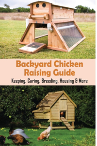 Backyard Chicken Raising Guide
