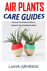 Air Plants Care Guides