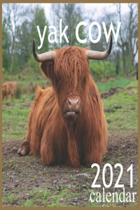 yak cow