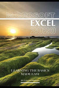 Microsoft Excel 2020