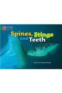 Spines, Stings and Teeth Workbook