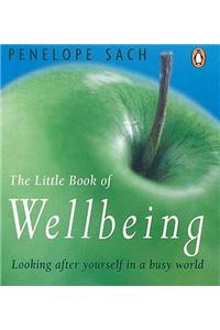 Little Book of Wellbeing