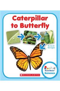 Caterpillar to Butterfly (Rookie Read-About Science: Life Cycles)