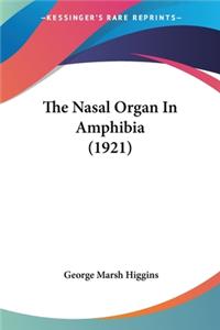 Nasal Organ In Amphibia (1921)