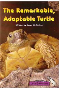 Little Celebrations, Non-Fiction, the Remarkable, Adaptable Turtle, Single Copy, Stage 3b
