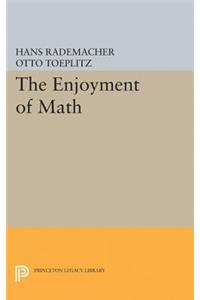 Enjoyment of Math