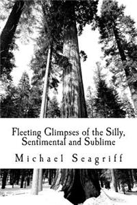 Fleeting Glimpses of the Silly, Sentimental and Sublime