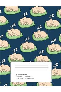 College Ruled 100 Sheets 200 Pages 7.44 x 9.69 18.90 x 24.61 cm