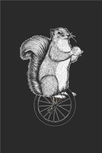 Squirrel Unicycle