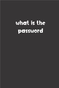 What is the Password