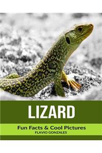 Lizard