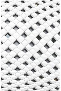 Dot Grid Bullet Journal