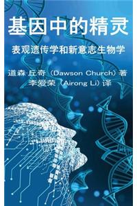 基因中的精灵the Simplified Chinese Edition of the Genie in Your Genes
