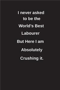 I Never Asked to Be the World's Best Labourer But Here I Am Absolutely Crushing It.