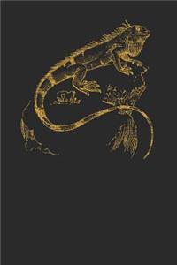 Gold Iguana: Iguanas Notebook, Blank Lined (6 x 9 - 120 pages) Animal Themed Notebook for Daily Journal, Diary, and Gift