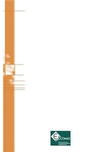 Advances in Computational Multibody Systems