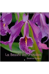 La Beaute Des Orchidees 2018