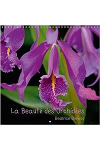 Beaute Des Orchidees 2018