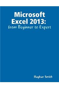 Microsoft Excel 2013 from Beginner to Expert