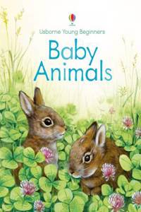 Baby Animals