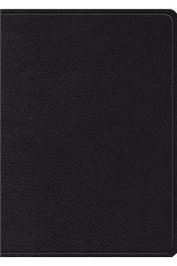 ESV MacArthur Study Bible