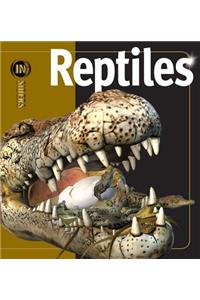 Reptiles
