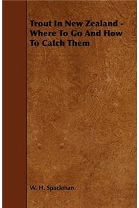 Trout In New Zealand - Where To Go And How To Catch Them
