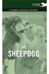 Sheepdog - A Complete Anthology of the Breeds