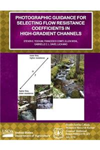 Photographic Guidance for Selecting Flow Resistance Coefficients in High-Gradient Channels