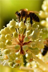 Bee with Yellow Flower Journal